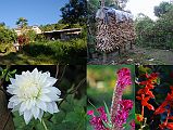 Rolwaling 00 06 Dolakha Lodge And Flowers